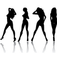 sexy females vector image