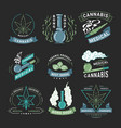 cannabis badge bong shop organic product set vector image vector image