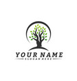 colorful vibrant tree logo design concept root vector image