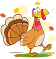 thanksgiving turkey cartoon vector image