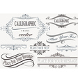 calligraphic frame set vector image