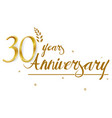 happy anniversary celebration design vector image