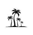 palm tree summer logo template vector image