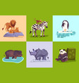 zoo animals concept set vector image