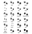 set of footprints wild animals vector image