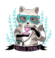hipster raccoon with coffee and glasses vector image