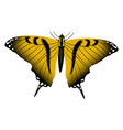 yellow butterfly with ornate wings realistic vector image vector image