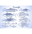 graphic ocean fish collection vector image