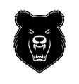 bear head black and white icon vector image vector image
