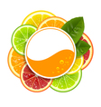 round banner with citrus fruits vector image vector image
