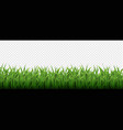 green grass border transparent background vector image vector image