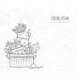 flower bed made old cooking pots and kettle vector image