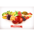 harvest juicy and ripe fruit isolated on white vector image vector image