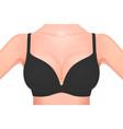 beautiful realistic female breast in a black bra vector image