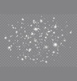 snowfall with various shapes snowflakes vector image