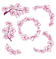 set of branches with cherry blossoms collection vector image vector image
