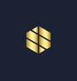 shape abstract polygon gold logo vector image vector image