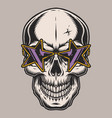 party skull label vintage colorful vector image