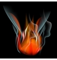 burn flame fire abstract background vector image