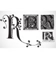 vintage traced woodcut vector image vector image