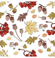 autumn rowan nature seamless pattern illust vector image