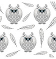 seamless pattern with white polar owls and feather vector image