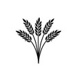 wheat barley rice icon hand drawn vector image