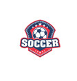 football or soccer ball icon for sport team badge vector image