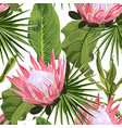 pink protea seamless floral pattern vector image vector image