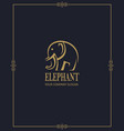 abstract elephant icon vector image