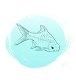 fish vector image