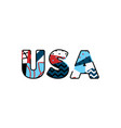 usa concept word art vector image