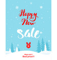 big winter holiday sale vector image