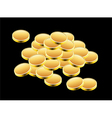 golden coins vector image vector image