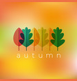 autumn leaves background vector image vector image