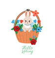 cute bunny in a basket with flowers isolate vector image