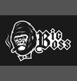 big boss angry gorilla with a cigar on a dark vector image