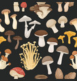 seamless pattern with edible poisonous vector image