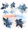 set detailed flowers imitation watercolor vector image