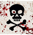 skull with crossbones vector image vector image