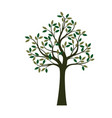 colour tree vector image