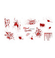 set various blood or paint splatters isolated vector image