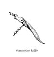 sommelier knife vector image