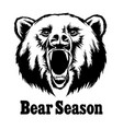 hand drawn roaring bear t-shirt design vector image