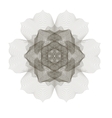 geometric ornament guilloche rosette vector image