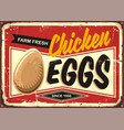 farm fresh chicken eggs vintage promotional sign vector image vector image