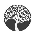 ornament white tree icon on black background vector image