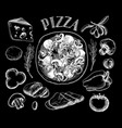 ingredients for pizza vector image