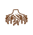 root icon design template isolated vector image