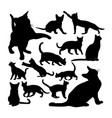 adorable burmese cat animal silhouettes vector image